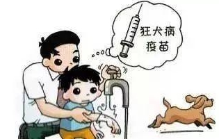 最新狂犬病發(fā)作視頻，理解與應對的挑戰(zhàn)