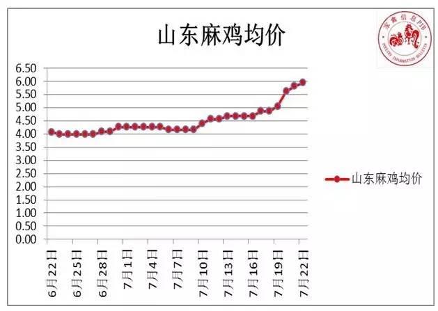 今日麻雞價(jià)格最新報(bào)價(jià)及分析