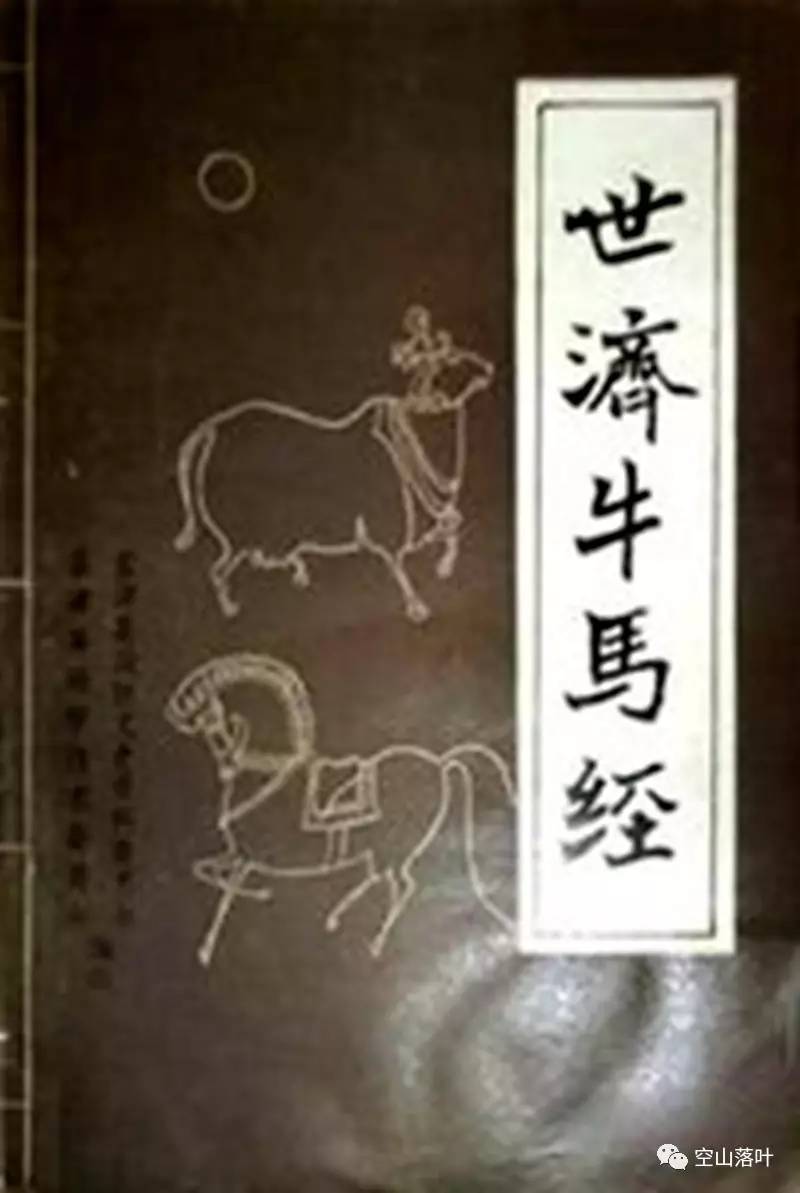 鄉(xiāng)村神醫(yī)趙八兩一级毛片黄久久久免费看，傳奇醫(yī)術(shù)與仁心濟(jì)世