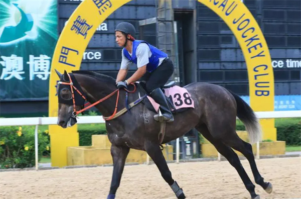 澳門開特馬+開獎結(jié)果課特色抽獎|合同釋義解釋落實