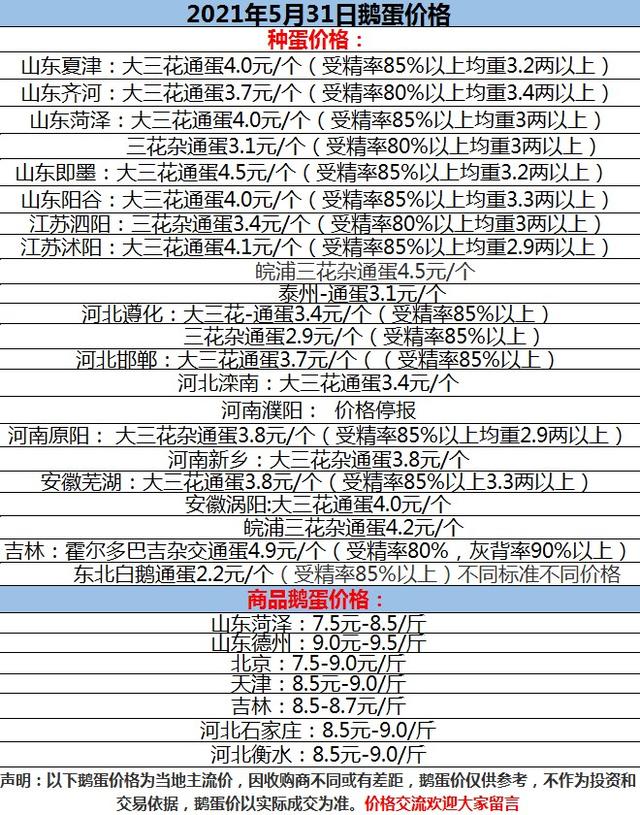 今日鵝價格最新行情