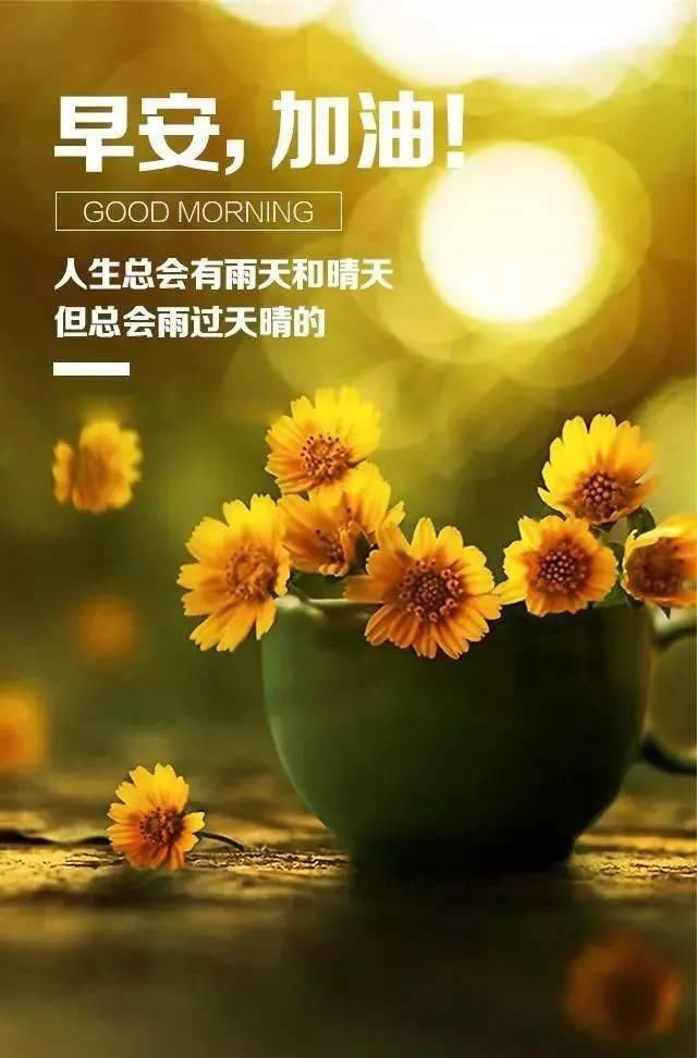 最新早安勵(lì)志語(yǔ)錄帶圖欧美精品黄网站在线播放，開啟充滿活力的每一天